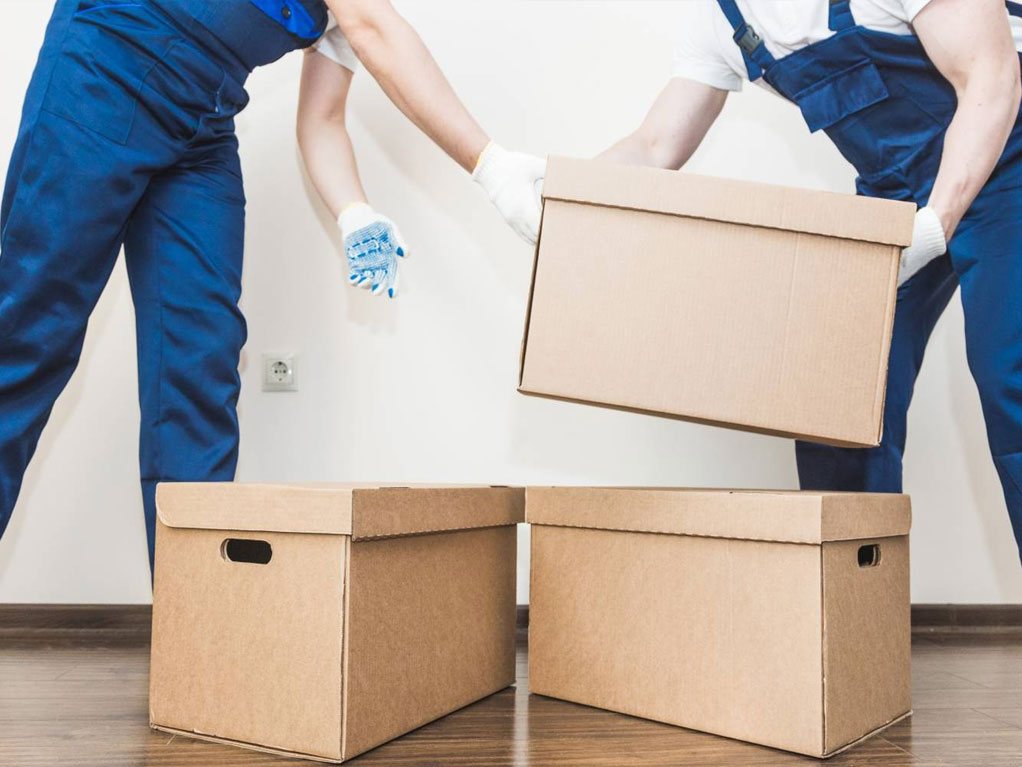 Moving Your Removalists In Mona Vale? Here’s How to Find the Best Removalists
