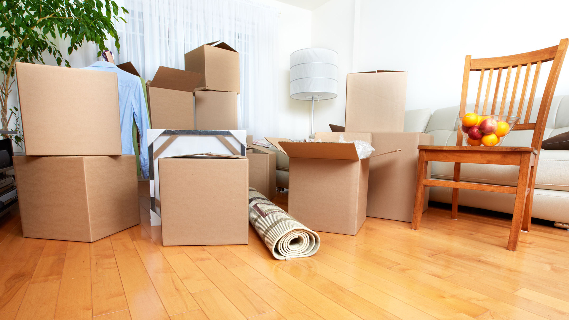 removalists hurstville area