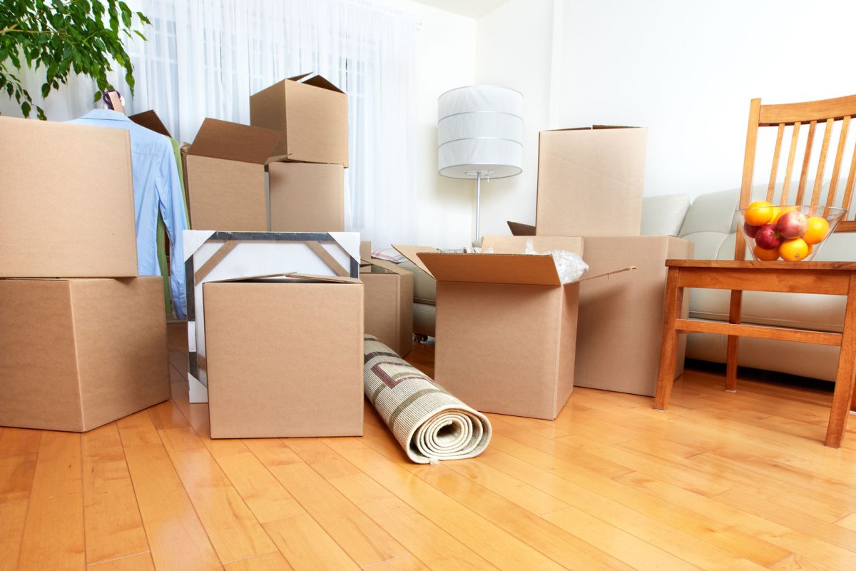 Moving On A Budget: Exploring The Affordability Of Removalists In Leichhardt
