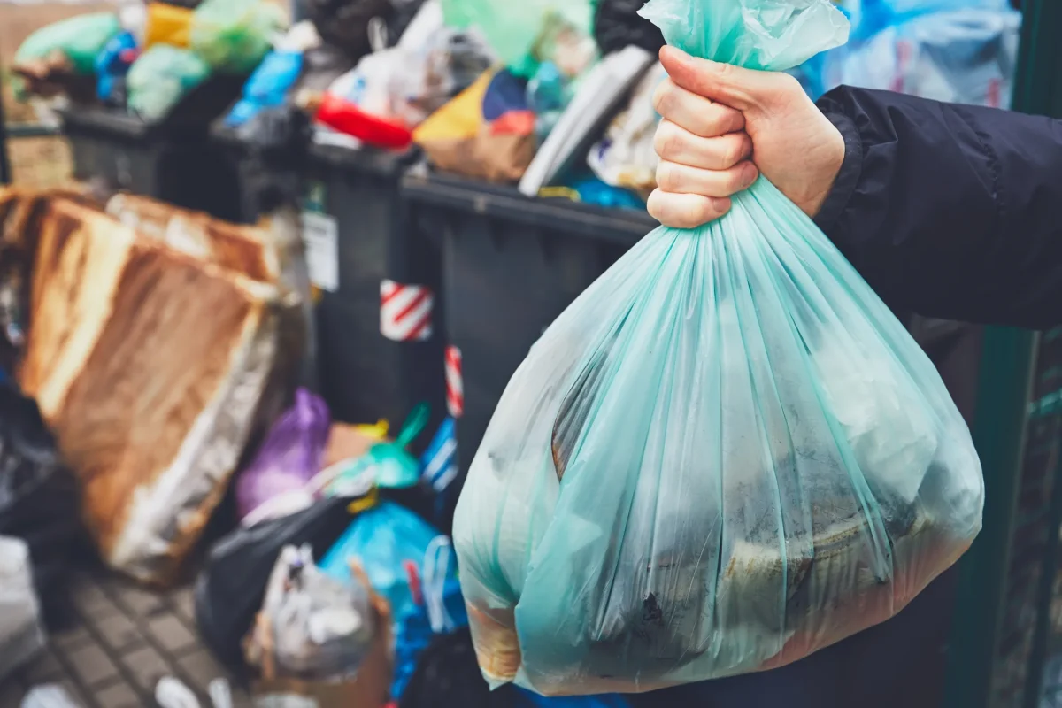 Here Are The Best Benefits Of Skip Bin Hire Services In The Maroubra Area