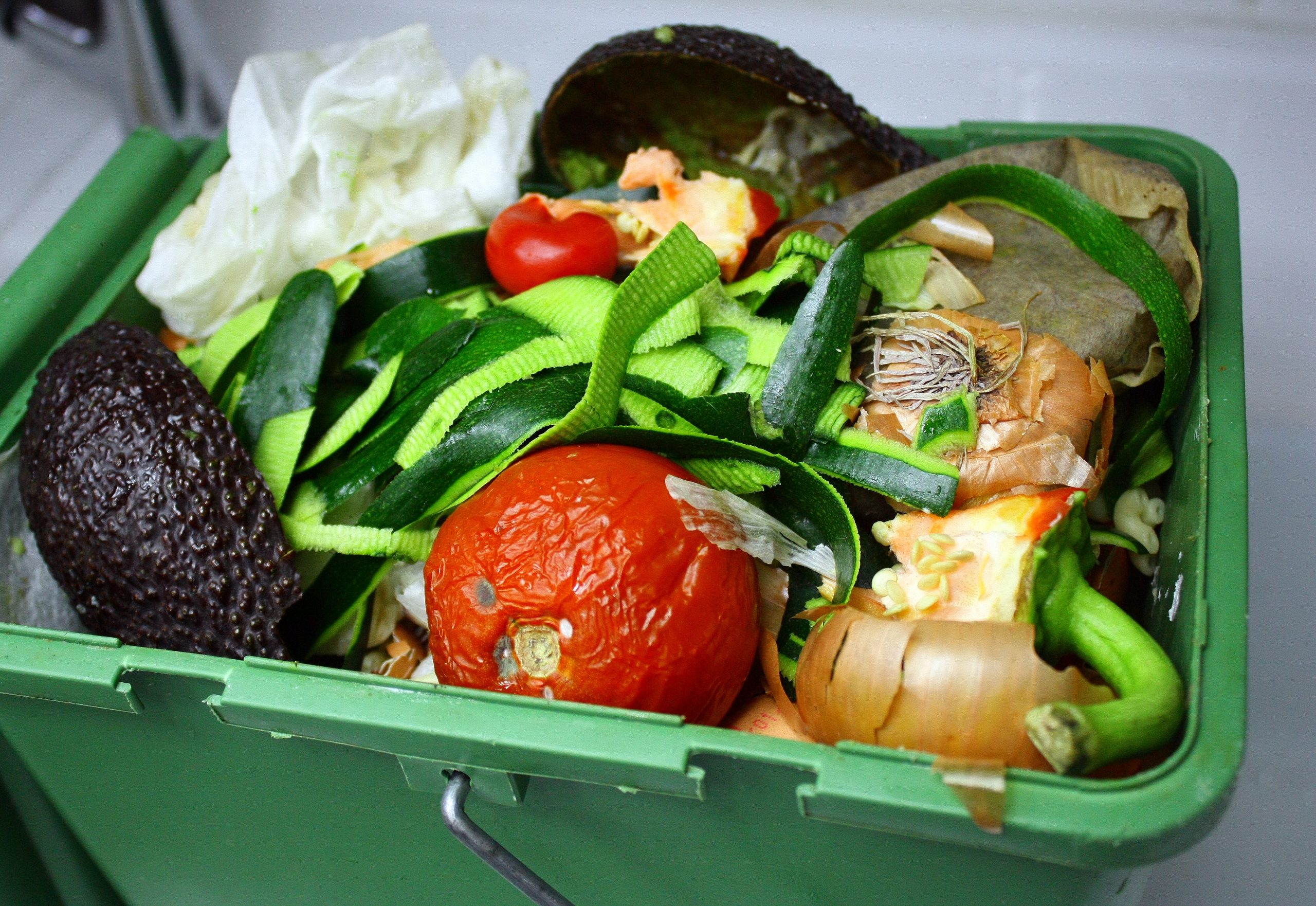 food waste recycling