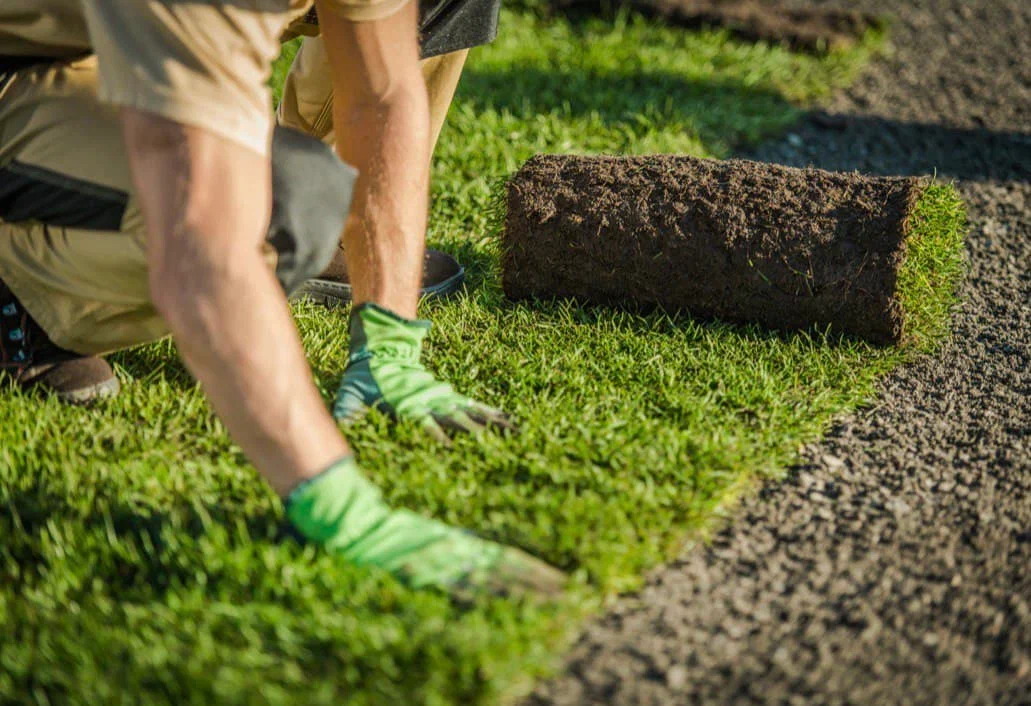 turf laying hills district
