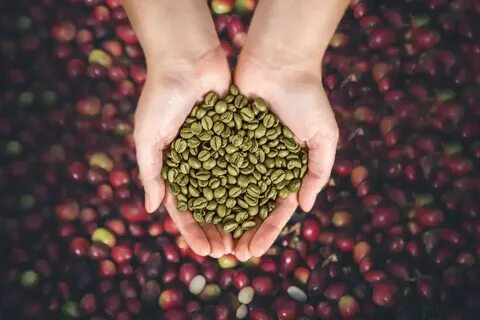 Buy Green Bean Coffee