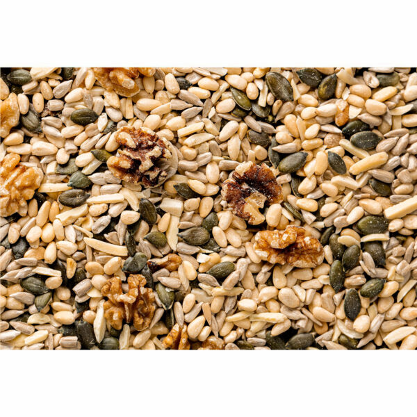 Salad Mix – The Simple Way to Add Freshness, Nutrition, and Flavour to Every Meal