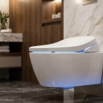 smart toilet sydney